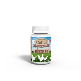 Gallus Digest 200 ML