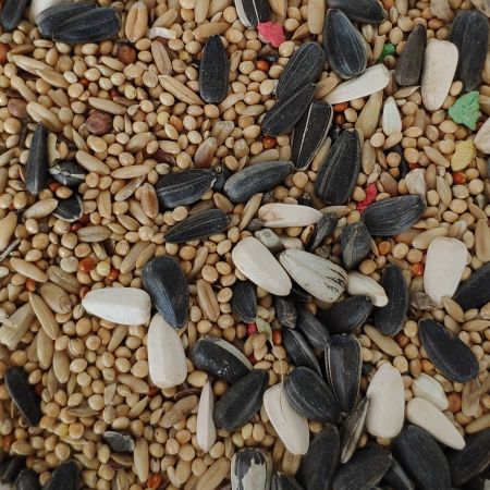 CATURRAS STANDARD 20KG