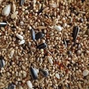 Caturras Criador 20KG JSC