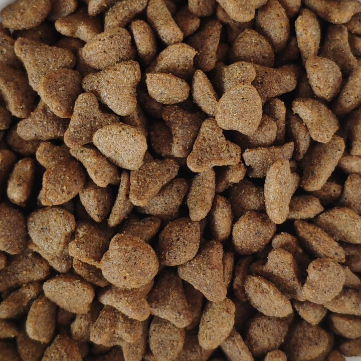 Avenal Cat Carne
