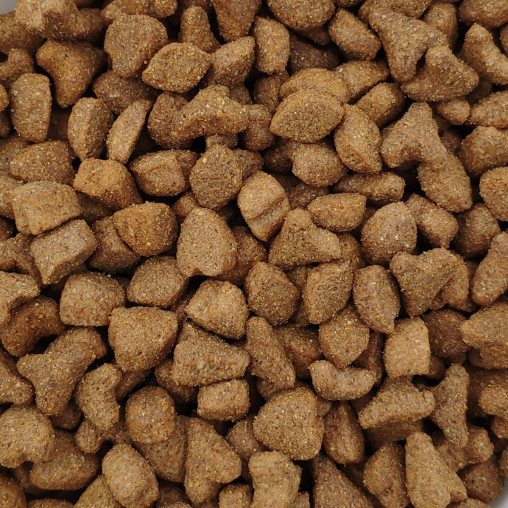 Spike Cat Aves e Cereais