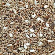 Agapornis PREMIUM 20Kg