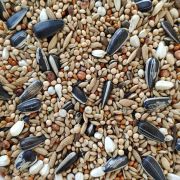 Grandes Psitacídeos PREMIUM JSC 20Kg