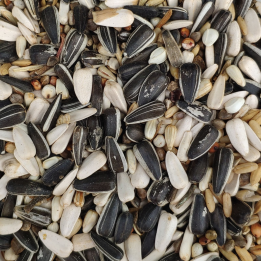 Papagaios JSC 15Kg