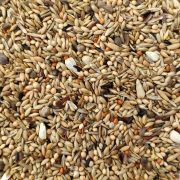 Neofemas PROFISSIONAL JSC 20Kg