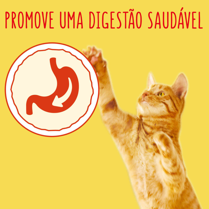 Friskies Gato Carne Coelho