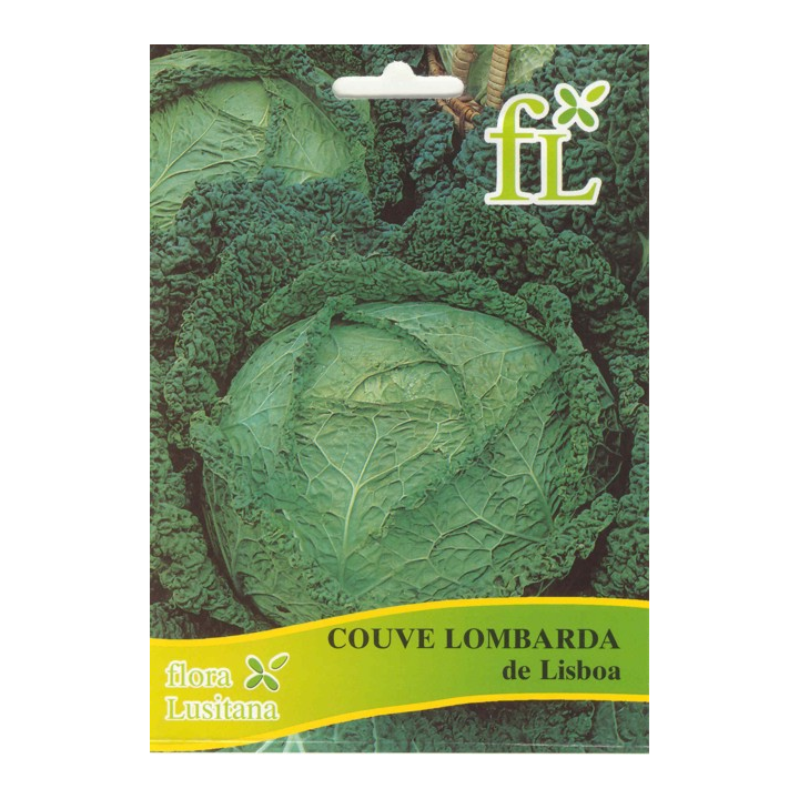 Couve Lombarda de Lisboa