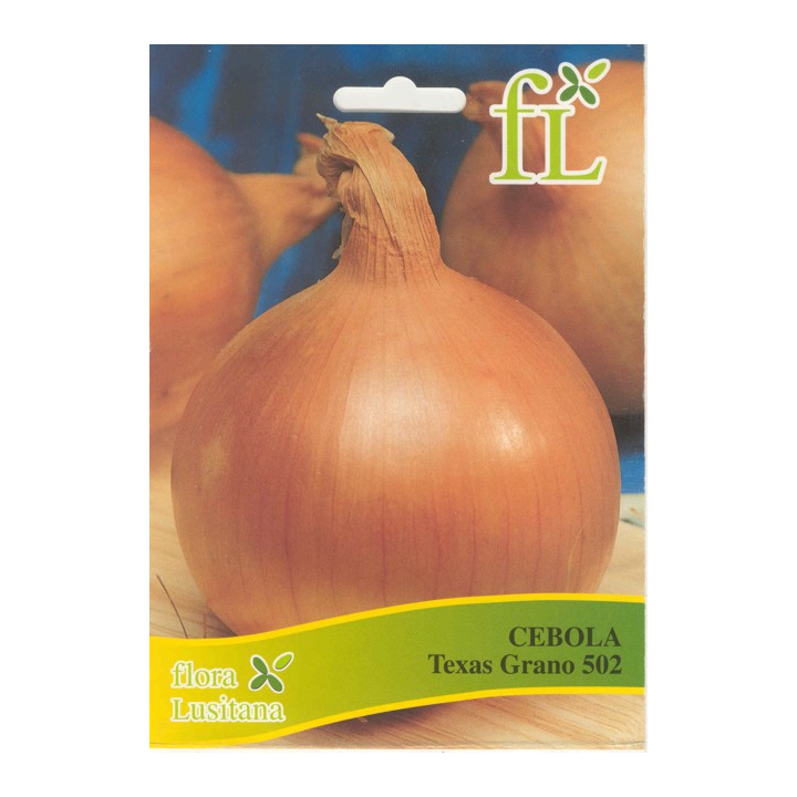 Cebola Texas Grano 502