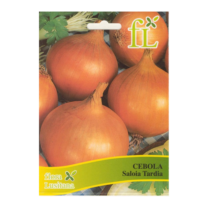 Cebola Saloia Tardia