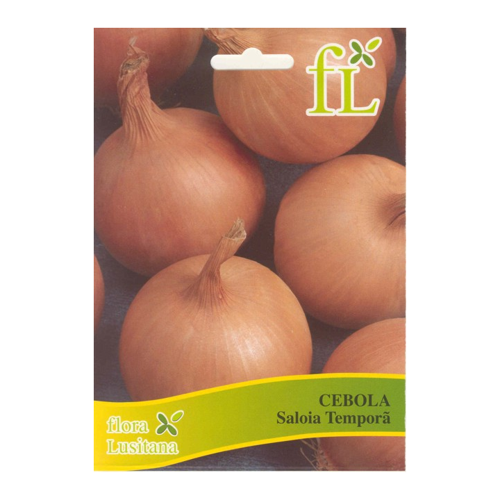 Cebola Saloia Temporã