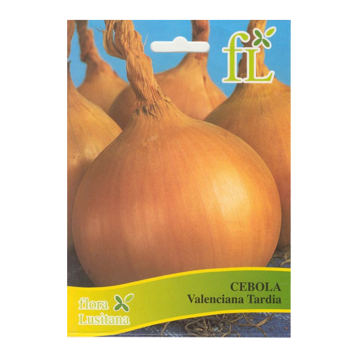Cebola Valenciana Tardia