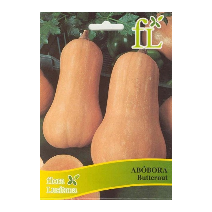 Abóbora Butternut