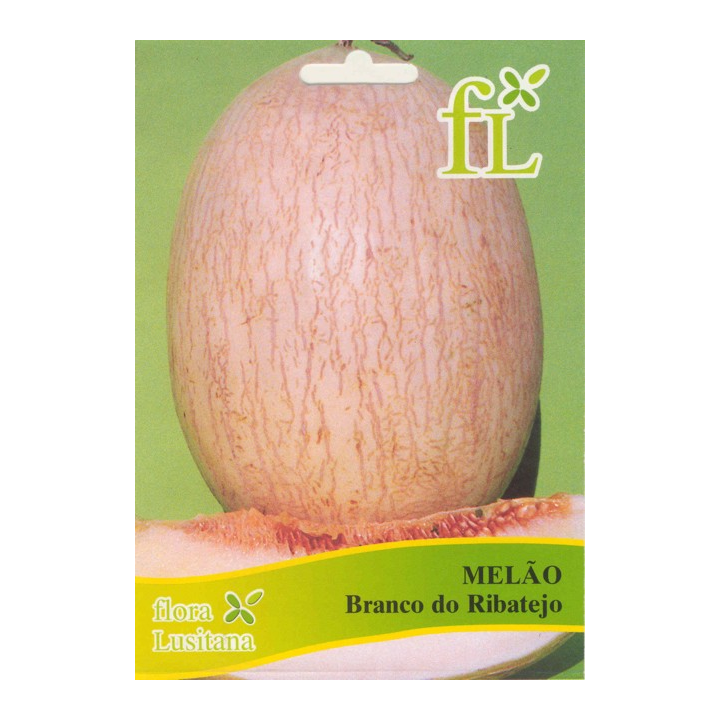 Melão Branco do Ribatejo