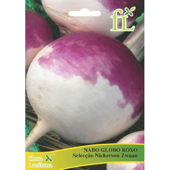 Nabo Globo Roxo Seleção Nickerson Zwaan