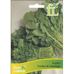 Nabo Grelos de Santiago