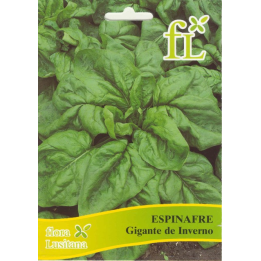 Espinafre Gigante de Inverno