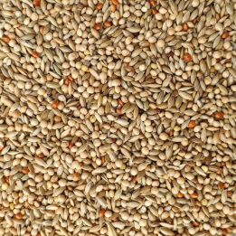 Piriquitos Cria JSC 20 Kg