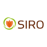 Siro 